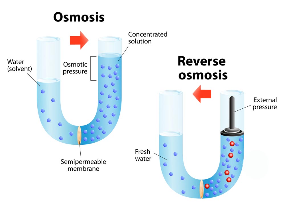 osmosis vs reverse osmosis