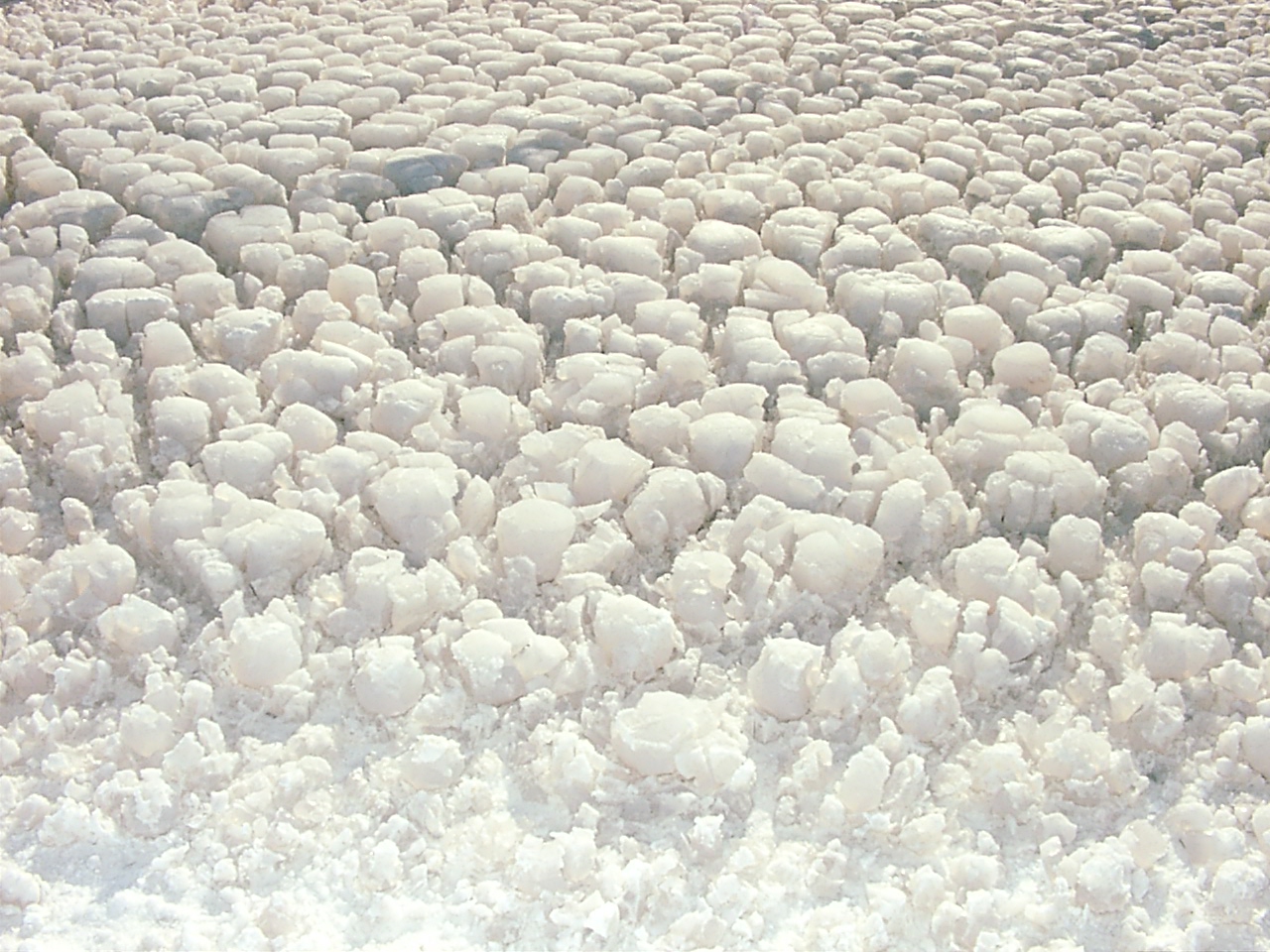 Fully Dehydrated Crystals