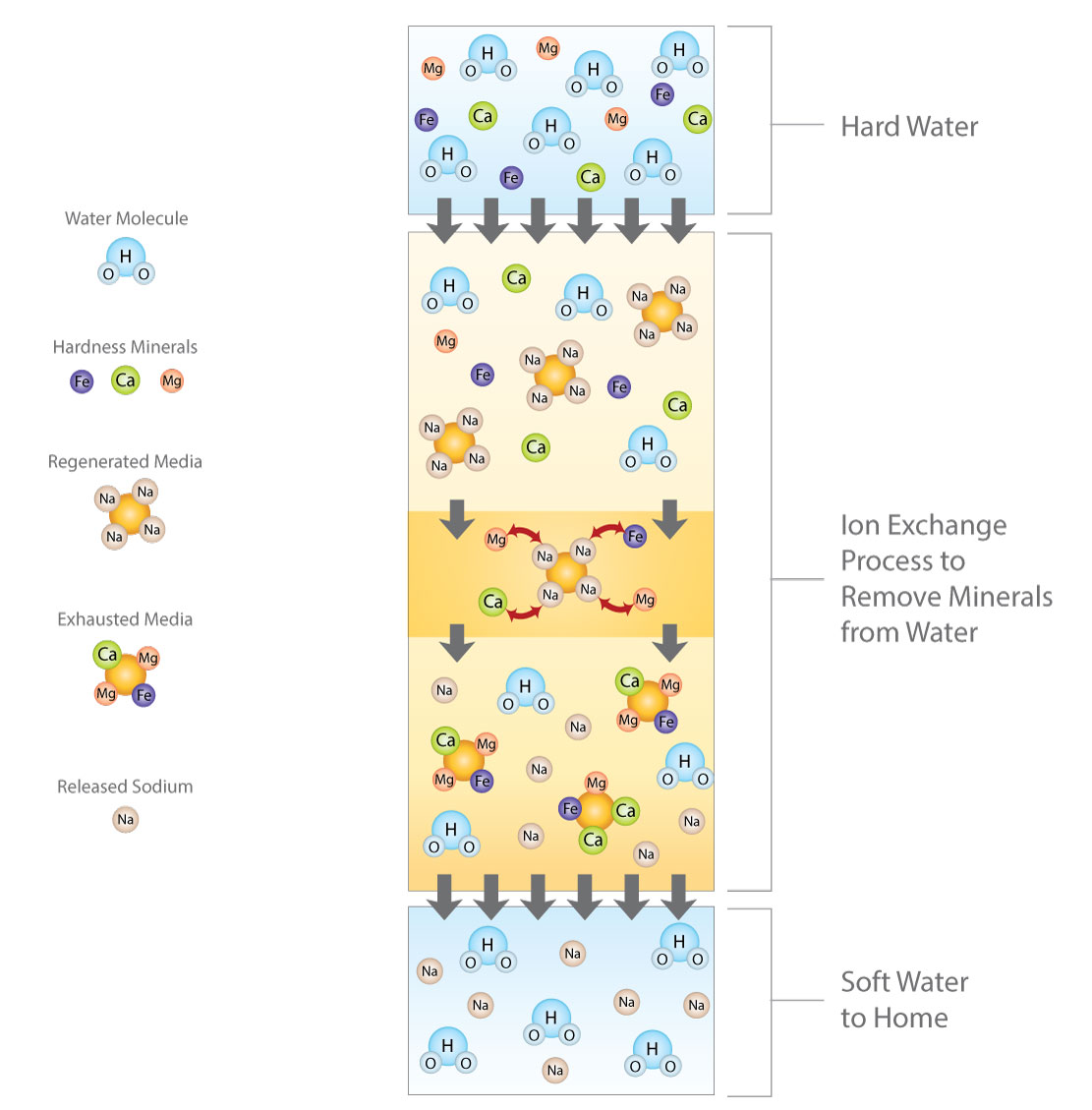 Illustration that shows how hard water becomes soft water through the ion exchange process.
