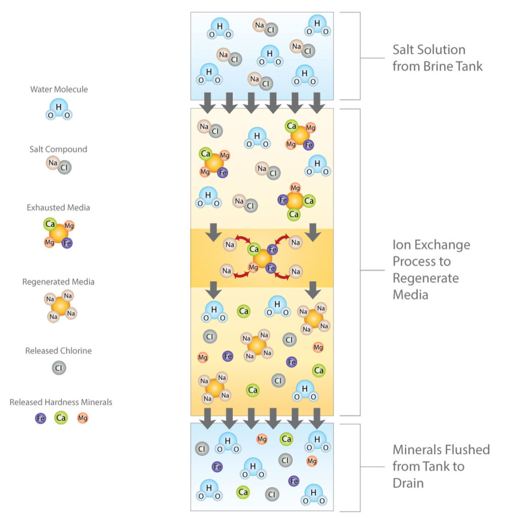 Graphic illustration showing how the ion exchange regeneration process occurs.
