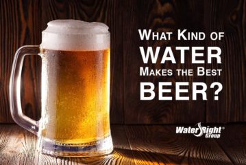 What Kind of Water is Best for Brewing Beer?