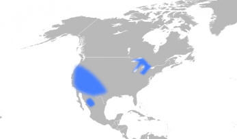 fluoride North America