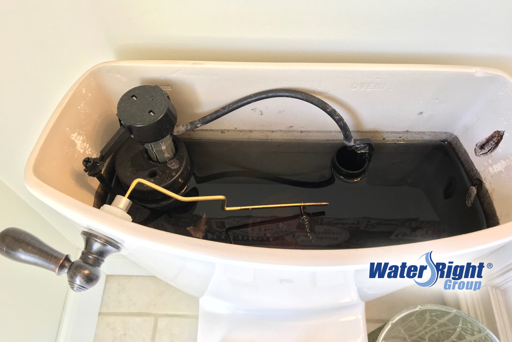 What are the black stains in my toilet?